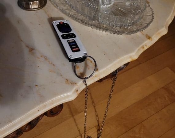 Roku remote control case enclosure