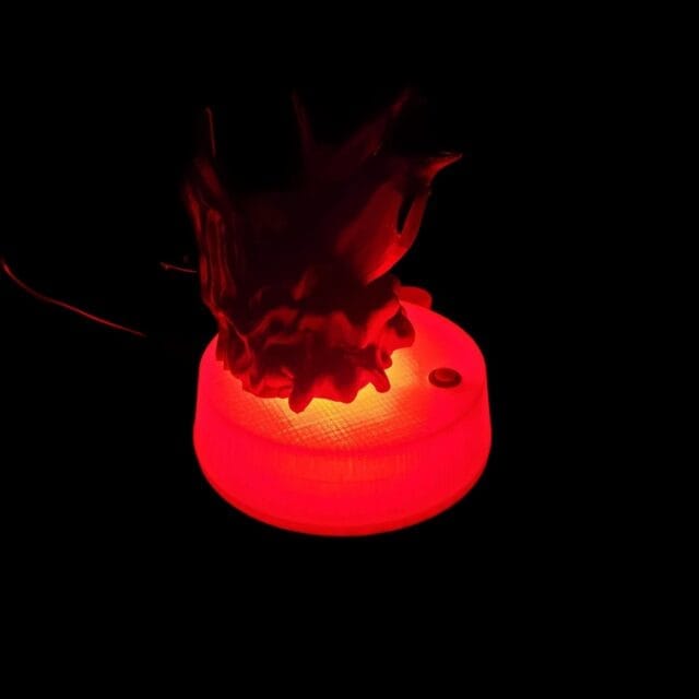 Dolphin Lamp with light effects