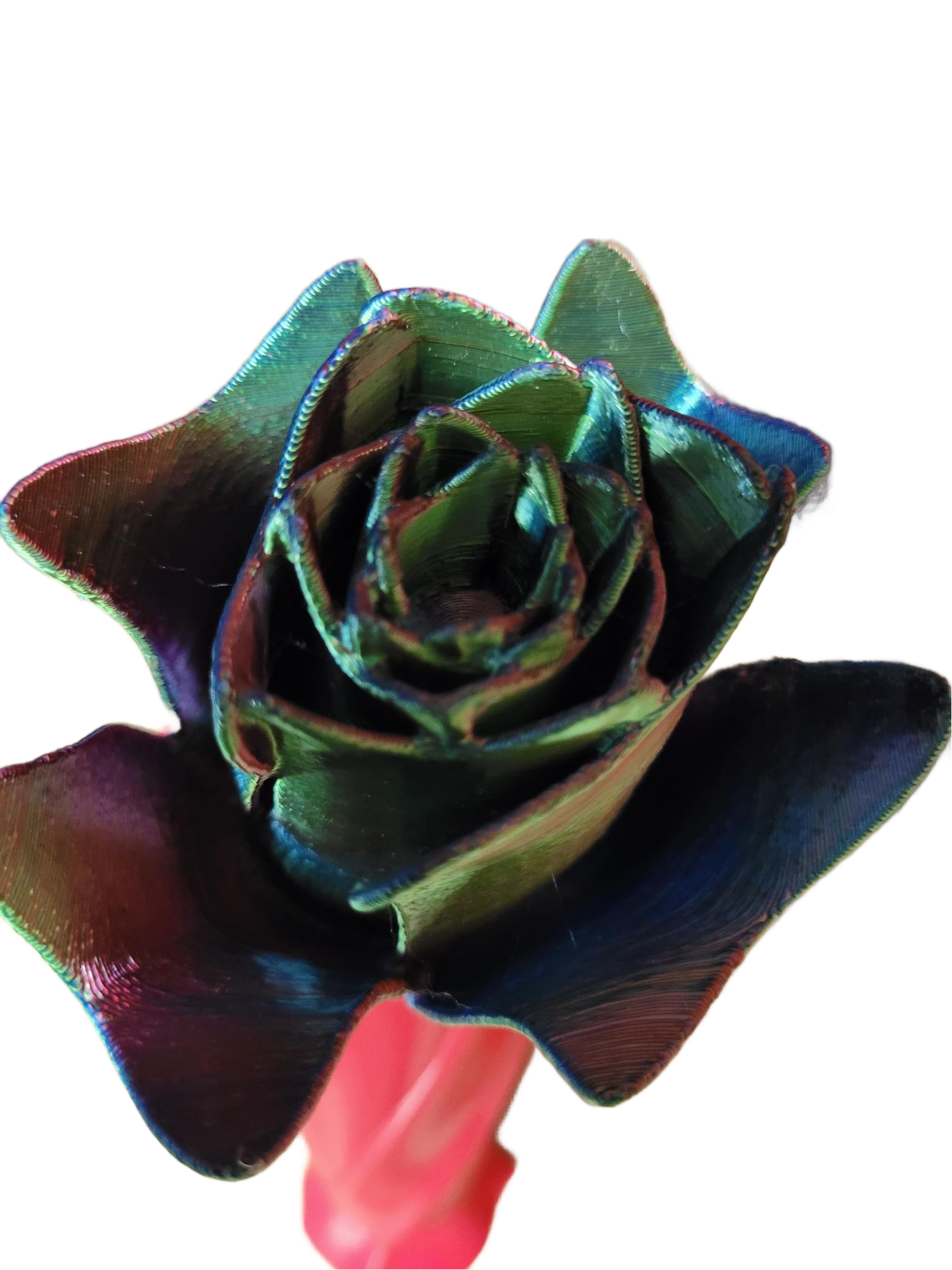 Vase three roses multicolors 3 Flower pot rose multicolors 05