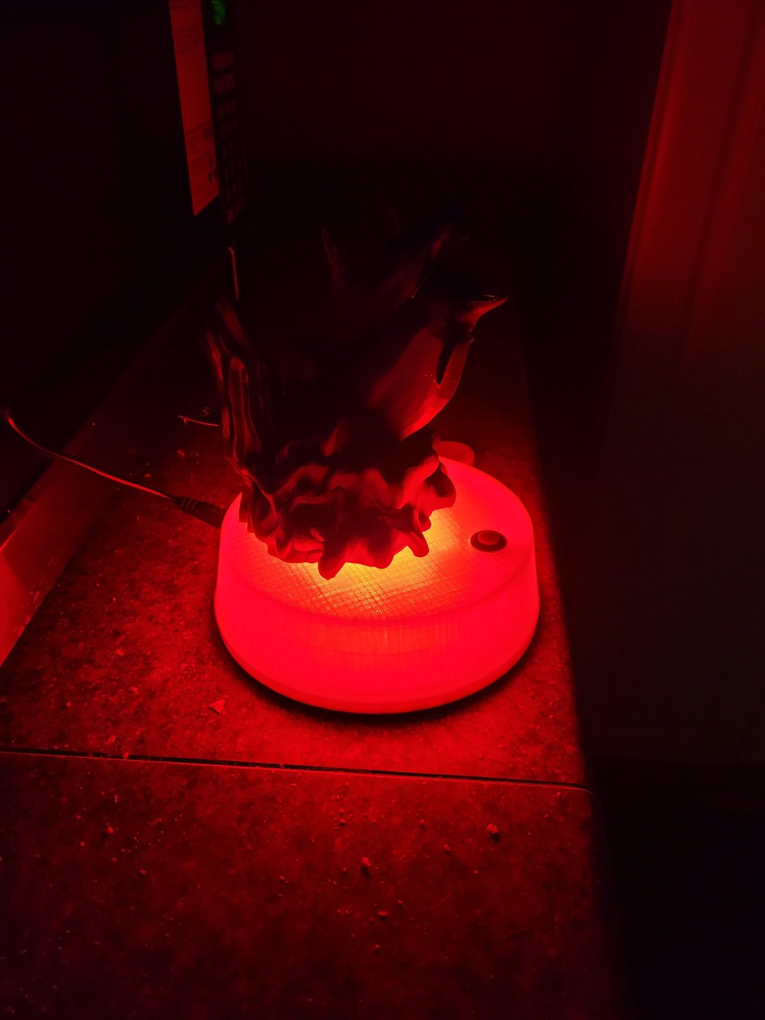 Dolphin Lamp with light effects 2 dolphin lamp 04